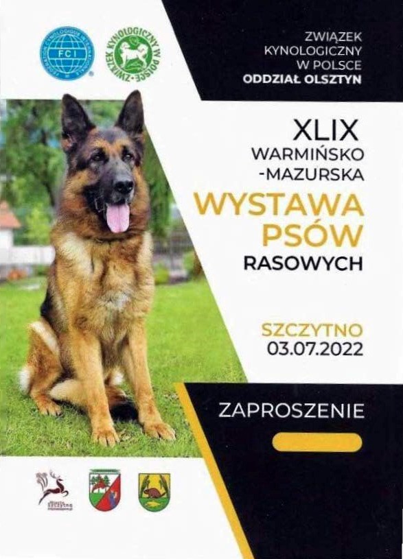 49 warmińsko-mazurska wystawa psów rasowych w szczytnie